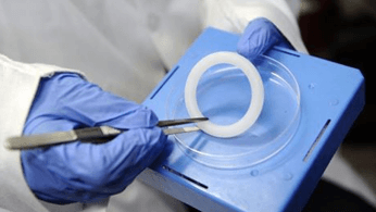 Scientists reveal latest in HIV prevention